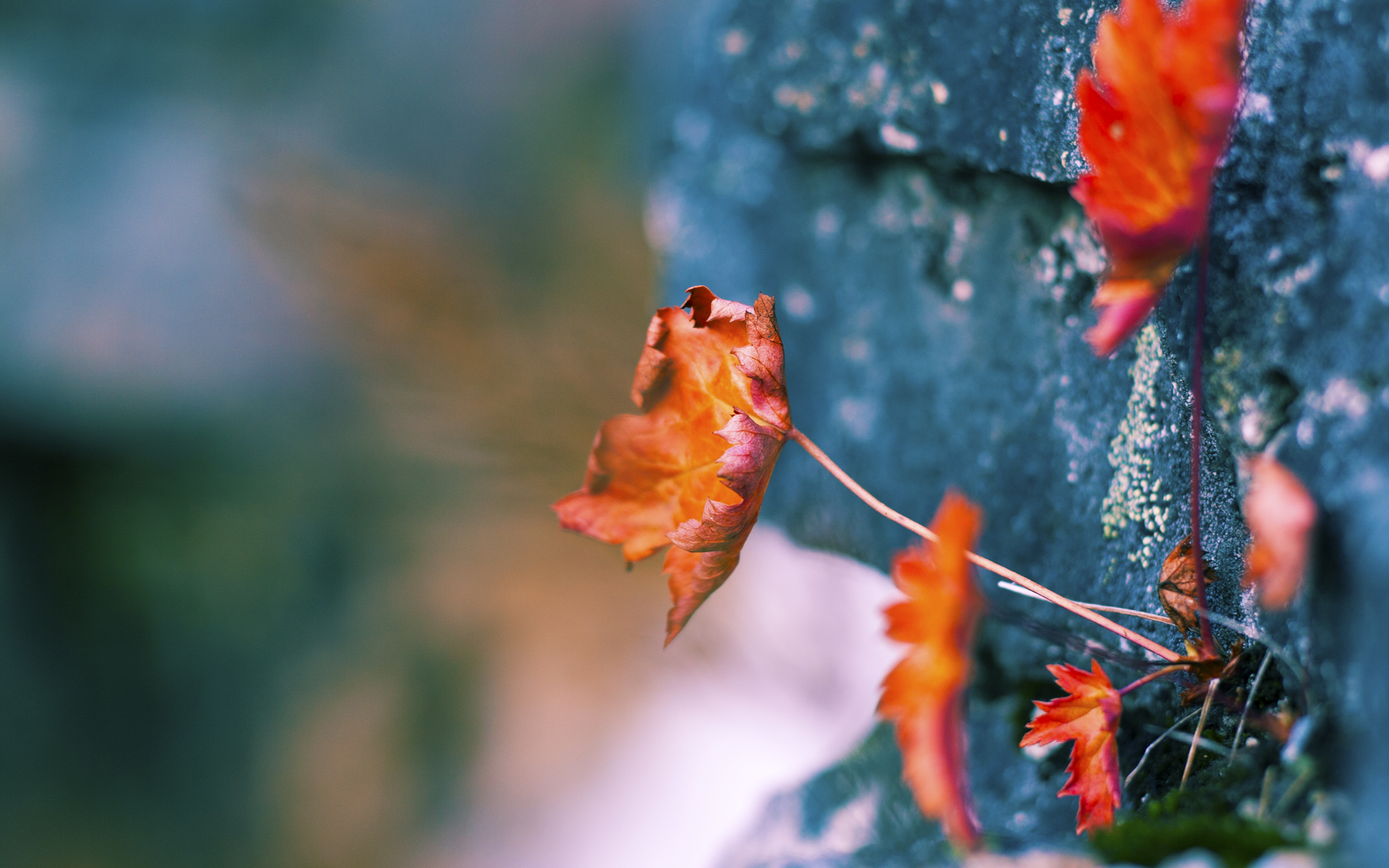 足球比赛文化创意衍生品销售数据增长显著，足球产品营销方案