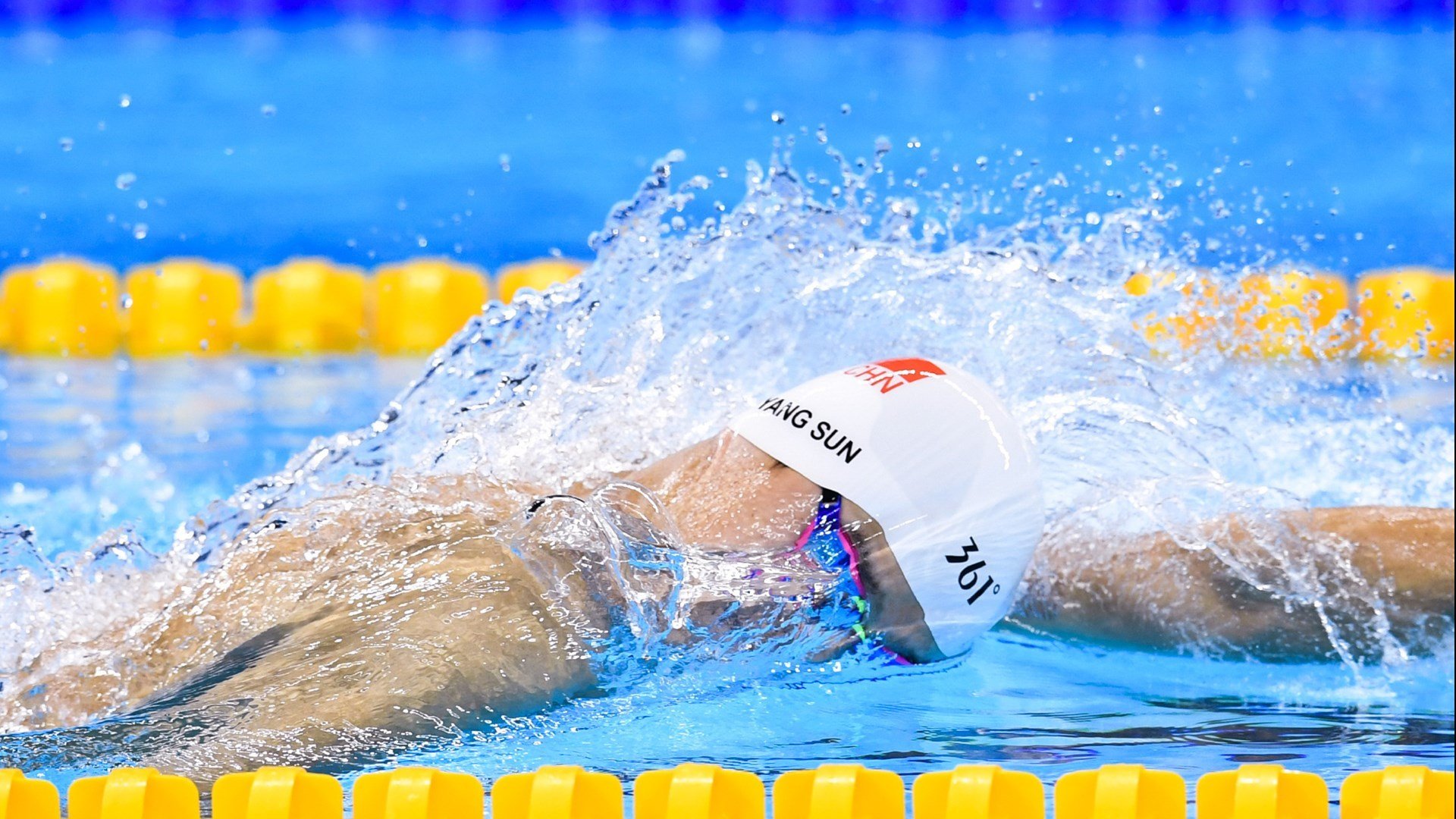 墨西哥骑手卡洛斯·汉克在巴黎奥运会上与“Porthos Maestro WH Z”马匹携手参赛，表现出色。